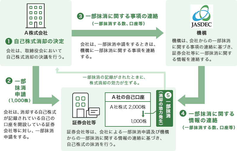 自己株式消却（一部抹消）の手続 ①発行会社による自己株式消却の決定（発行会社は、取締役会において自己株式消却の決議を行う） ②発行会社から証券会社等へ一部抹消申請（会社は、消却する自己株式が記録されている自己の口座を開設している証券会社等に対し、一部抹消申請をする） ③発行会社から機構へ一部抹消に関する事項（一部抹消する数、口座等）の連絡（発行会社は、一部抹消申請をするときは、機構に一部抹消に関する事項を連絡する） ④機構から証券会社等へ一部抹消に関する情報（一部抹消する数、口座等）の連絡（機構は、発行会社からの一部抹消に関する事項の連絡に基づき、証券会社等に一部抹消に関する情報を連絡する） ⑤発行会社の自己口座にて一部抹消（証券会社等は、発行会社による一部抹消申請及び機構からの一部抹消に関する情報の連絡に基づき、自己株式の抹消を行う（消却の効力発生））